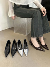 LBSFY  -  Sexy Women Pumps Black Brown Silver Shallow Slip On Party Pumps Casual Mules Shoes Thin High Heels Dress Party Office Pumps 39